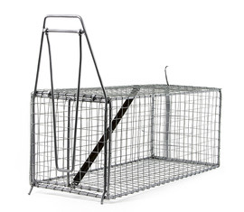 Animal traps