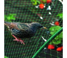Anti Bird nets