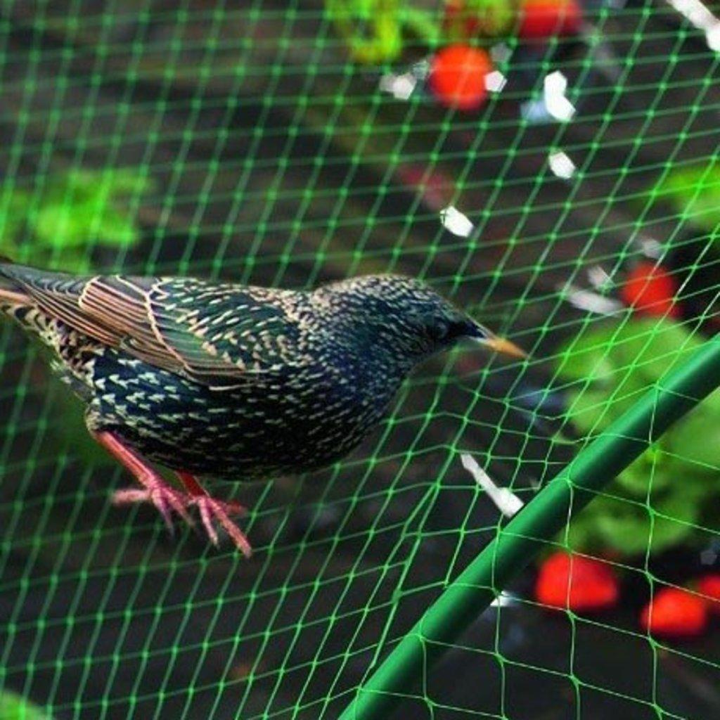 Anti Bird nets